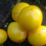  Amarelo