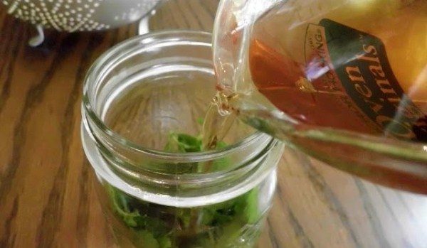  Per la preparazione della tintura utilizzando frecce, bulbi e foglie di cipolle cinesi