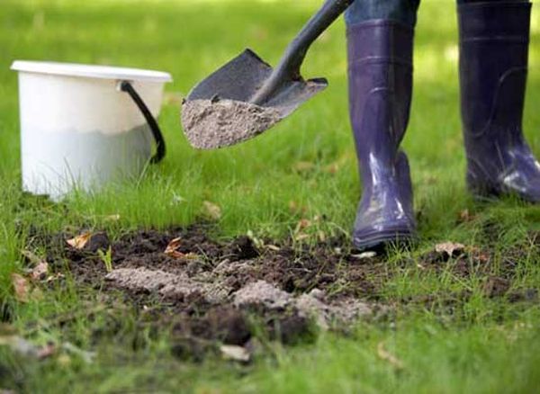  Wood ash can be used as a spring additive.