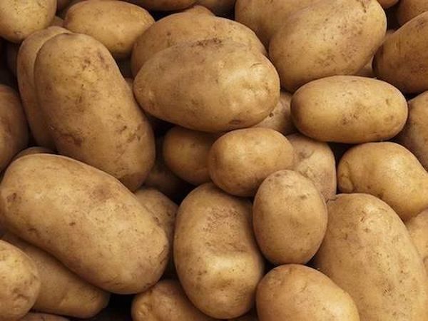  La commerciabilità del prodotto raggiunge il 94% a causa della pelle densa