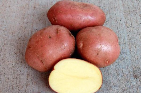  La polpa della patata è giallo crema
