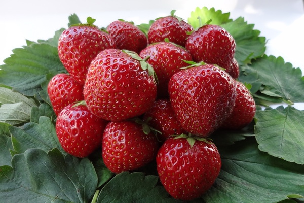 Strawberry Crown