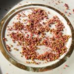  During reproduction, seeds are extracted from the dried pulp.