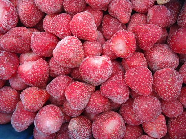  Florence strawberries do not lose their properties when frozen