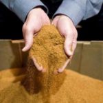  Tobacco dust protects against fungal diseases