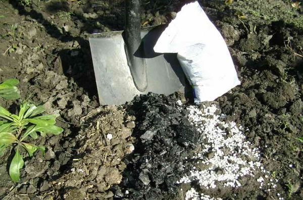  It is impossible to simultaneously apply lime fertilizers and organic