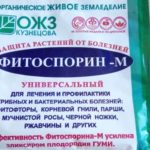  A mixture of gumi and phytosporin disinfects the soil