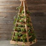  The pyramid of the boards