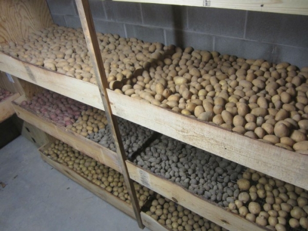  Il posto migliore per le patate - cantina con ventilazione