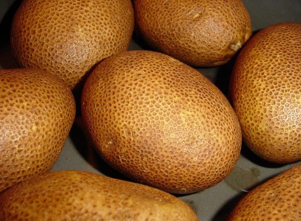  Cartofi de calitate Kiwi