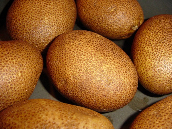  Kiwi de grau de batata