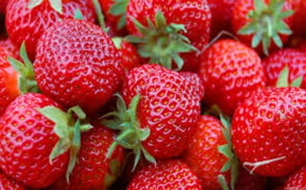  fragole
