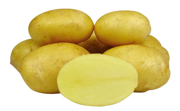  I tuberi di tipo Jelly hanno una forma ovale e una polpa di colore giallo scuro.
