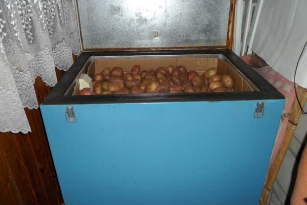  Puoi conservare le patate sul balcone isolato