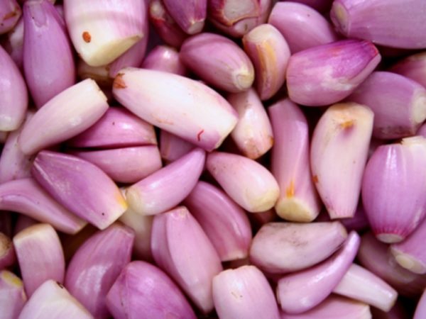  Chalote