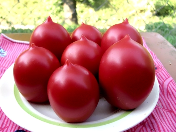  Soiul de tomate De Barao