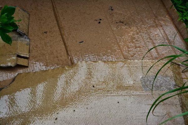  Mulching with cardboard
