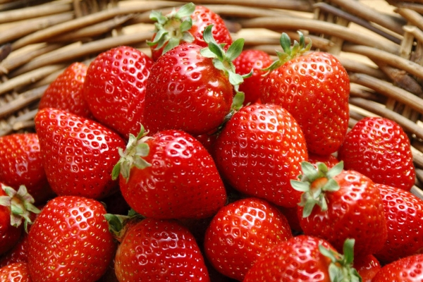  The benefits and harms of strawberries for the human body, the scope