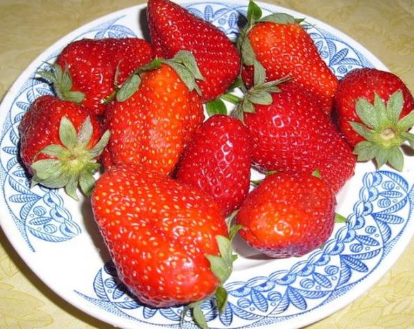  Temptation