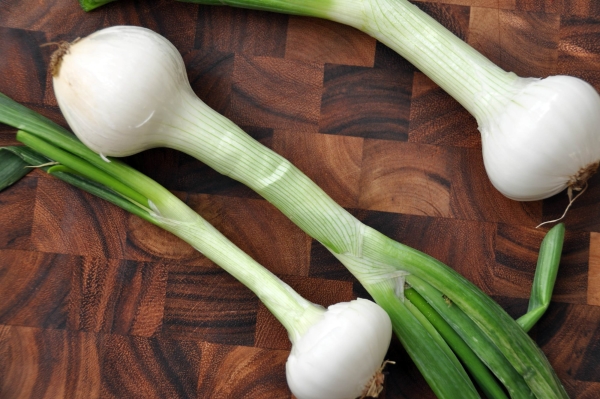  Cipolle verdi e bulbose sono utili per uomini e donne.