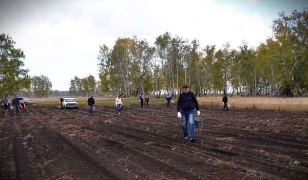  campo di patate persone