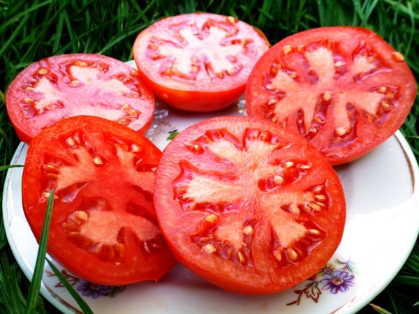 Polpa de tomates maduros - vermelho