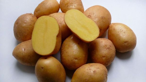  Nevsky is a medium early variety, with tubers weighing up to 130g