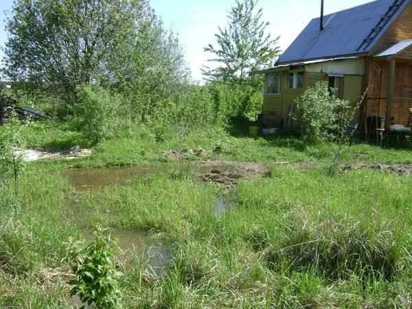  șes