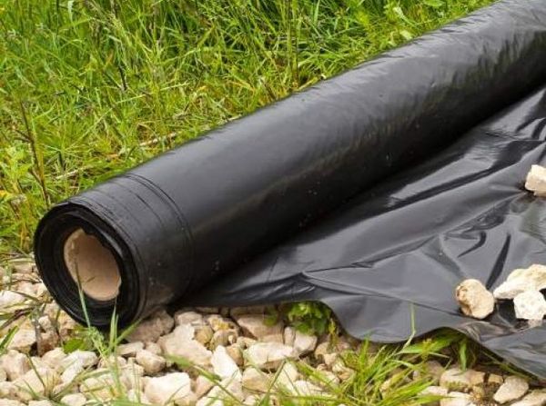  Il materiale di copertura per fragole è diviso in 3 tipi: leggero, medio e denso