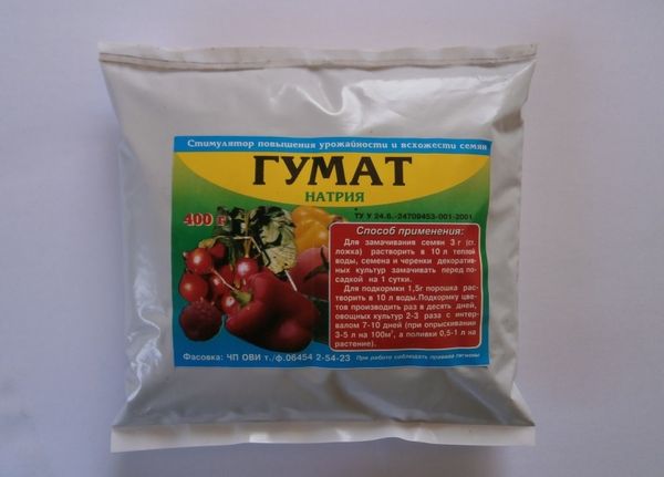  Atunci când periile de flori apar pe tomate este necesar să le hrăniți cu humate.