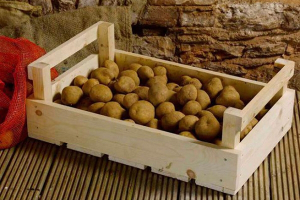  È possibile conservare le patate in frigorifero, in cantina, in appartamento e in altri luoghi
