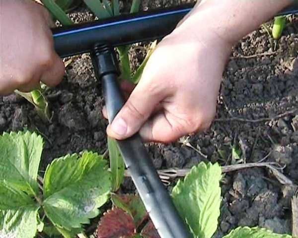  Lo spessore delle pareti del nastro dovrebbe essere 5-8 mm