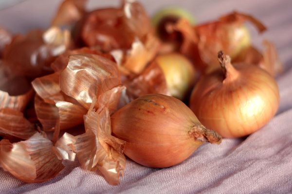  Ceapa Husk