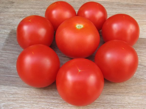  Tomato Sanka