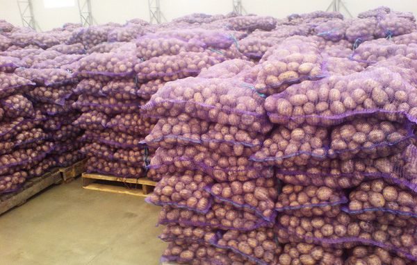  magazzino di patate