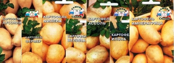  varietà di patate