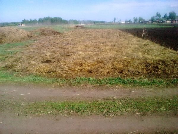  campo asciutto