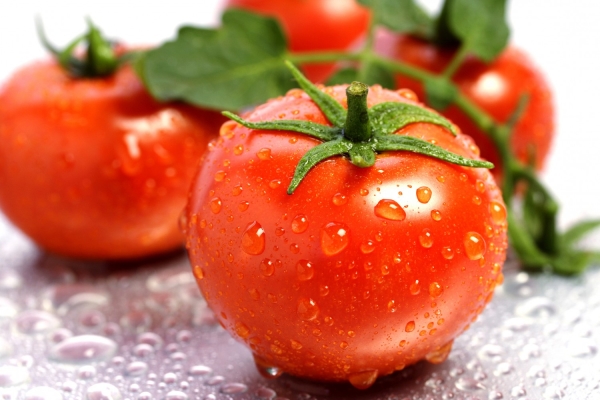  Um tomate é uma fruta ou um vegetal? Os benefícios e malefícios da cultura