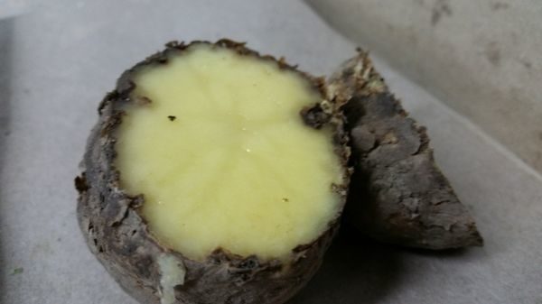  patate lenta