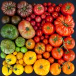  Variedade de cores de frutas