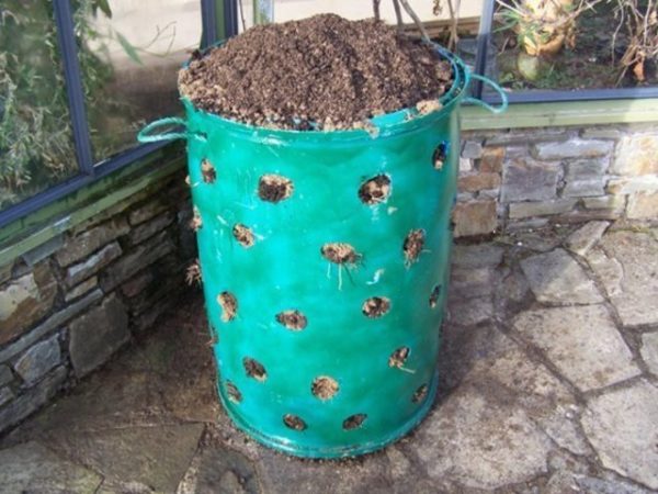  Land preparation in a barrel for planting strawberries
