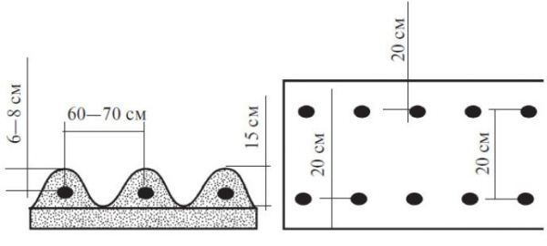  Lo schema di piantare patate Impala