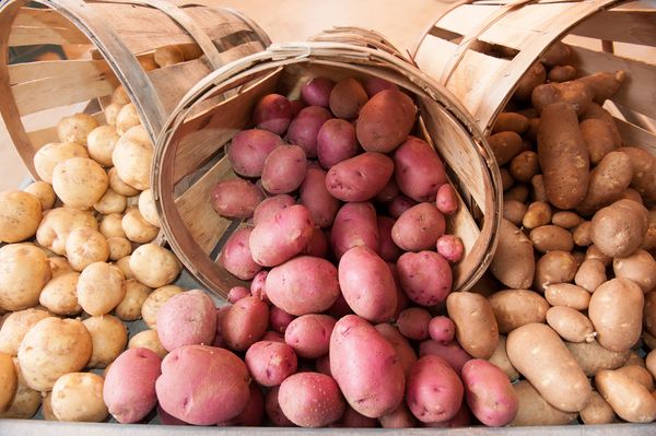  varietà di patate
