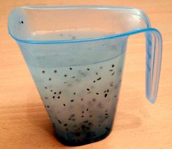  Soaking sementes de tomate, teste de germinação