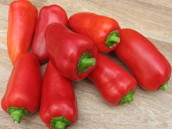  Pepper Winnie the Pooh belongs to the early ripe varieties