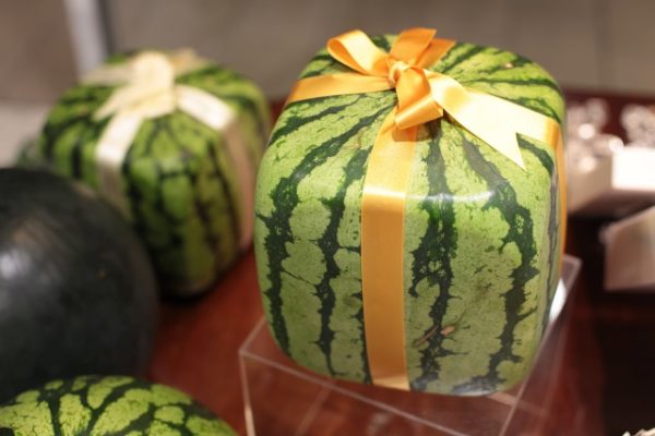  Gift Square Watermelon