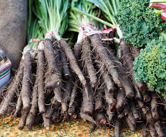  Harvest black carrots