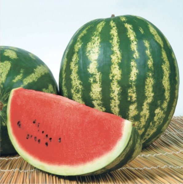Watermelon Crimson Sweet has a juicy gourmet flesh, delicate and rich taste and sweet aftertaste
