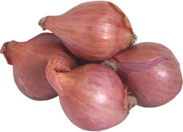  Family onions grade Emerald