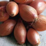  Shallot Cascade